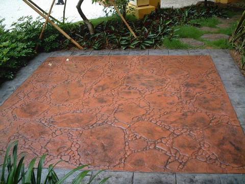 �������۵�ƺ